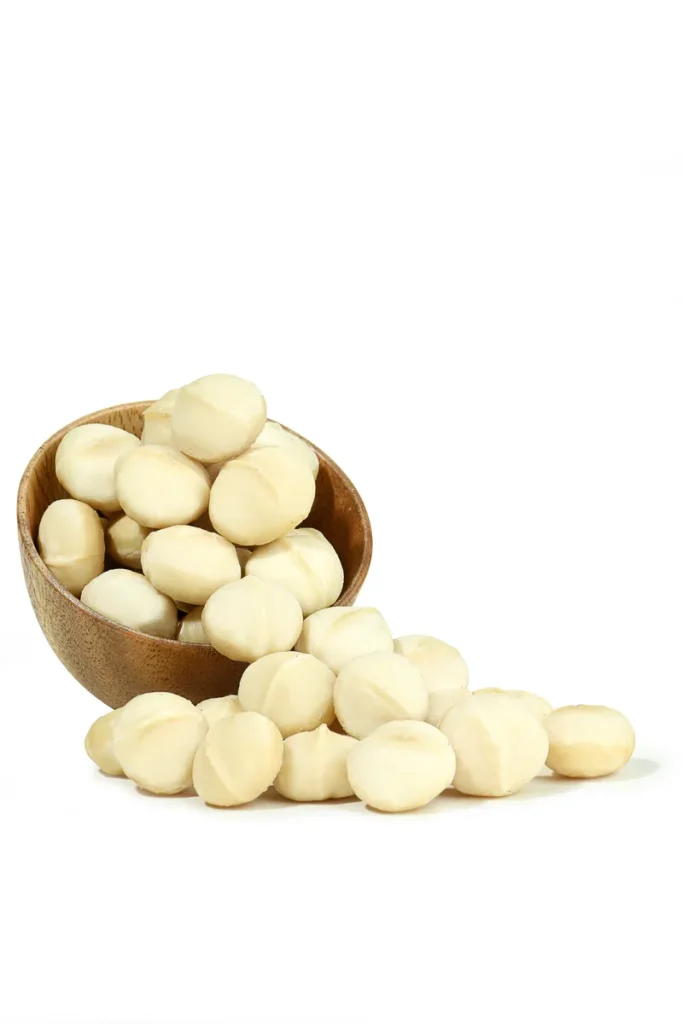 Premium whole dried macadamia nuts