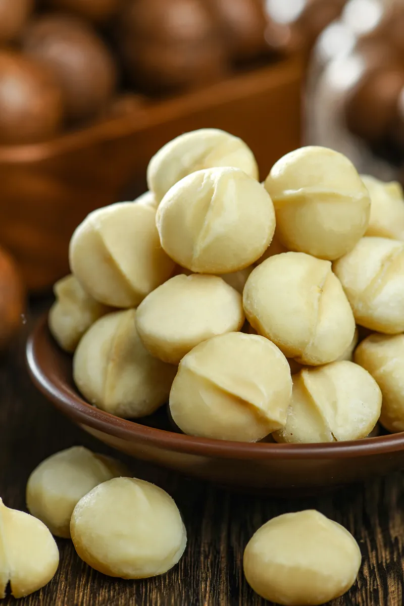 Macadamia nuts-20