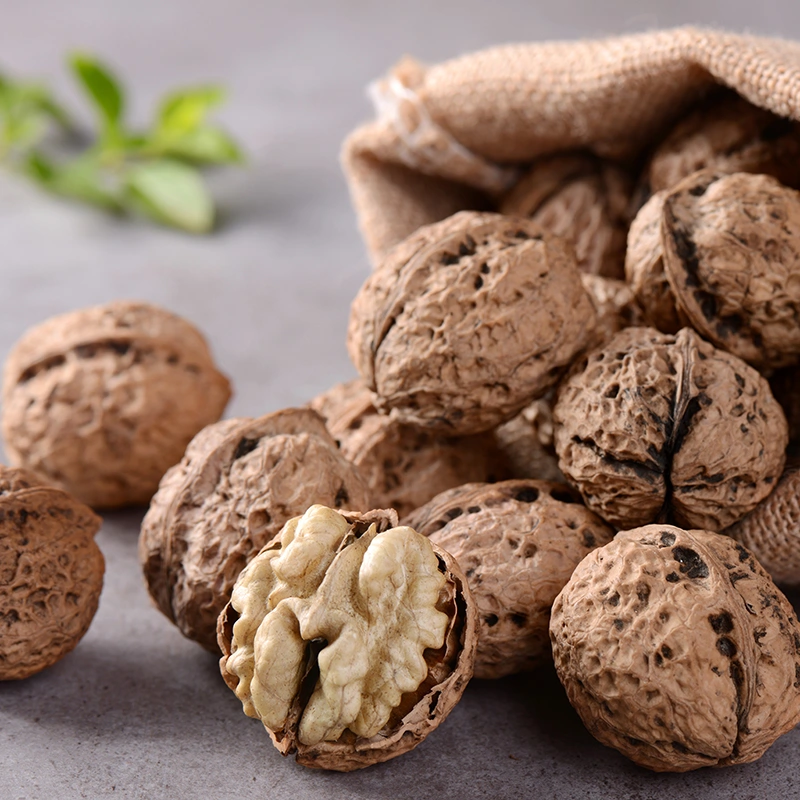 Shelled Hemp Tea Fruit