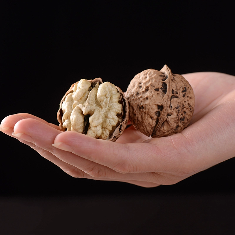 Shelled Hemp Tea Fruit