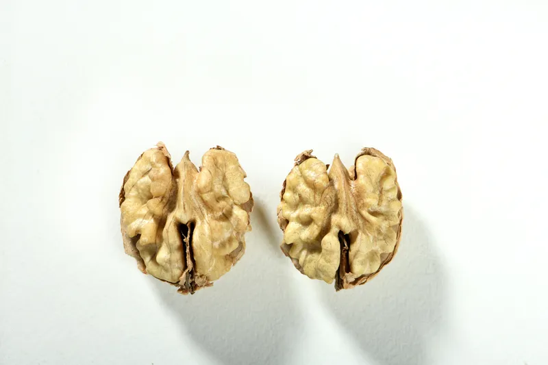High Quality Premium Walnuts Bulk Walnuts Kernels