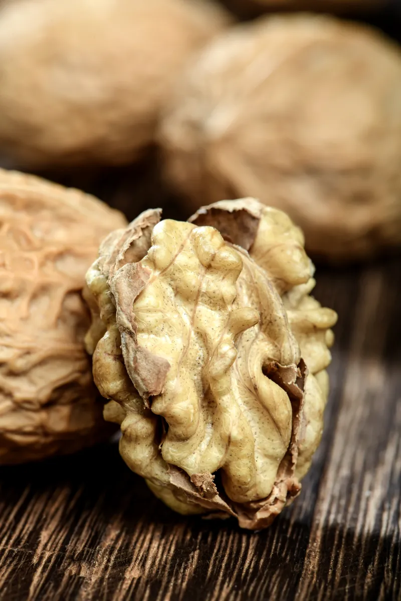 High Quality Premium Walnuts Bulk Walnuts Kernels