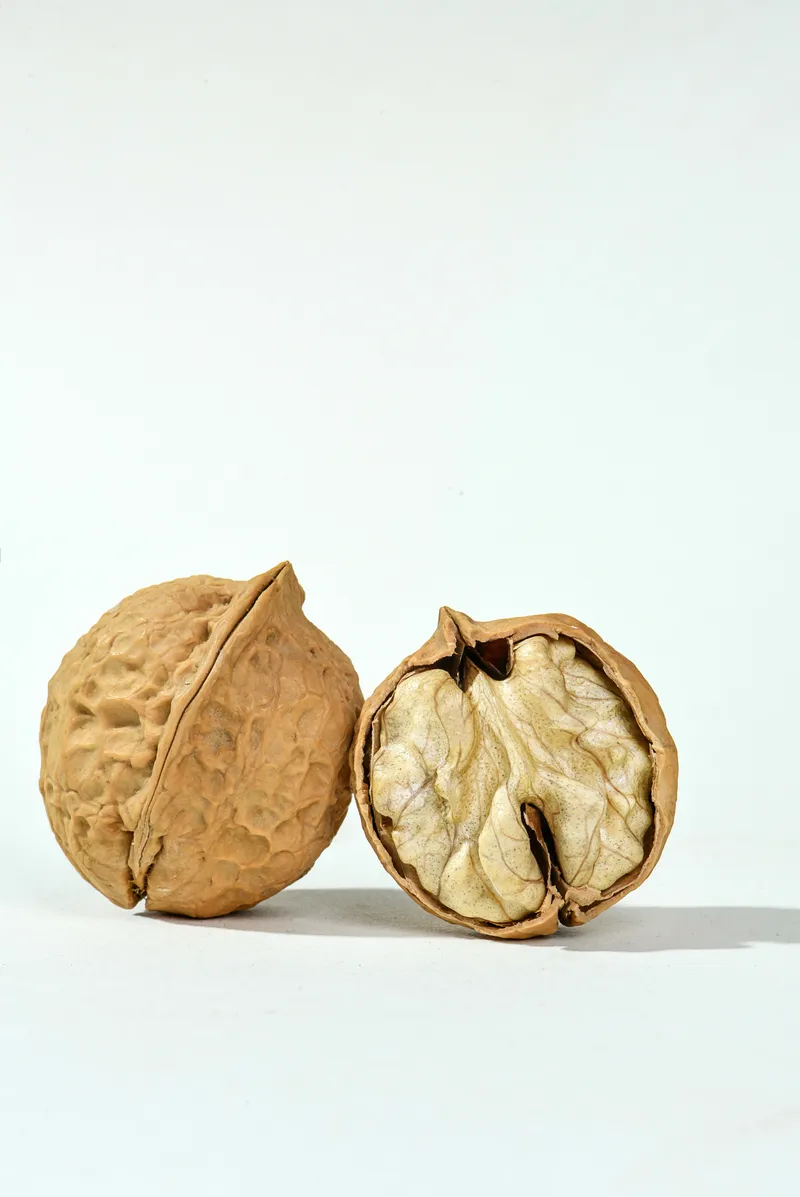 Bulk whole walnuts in shell